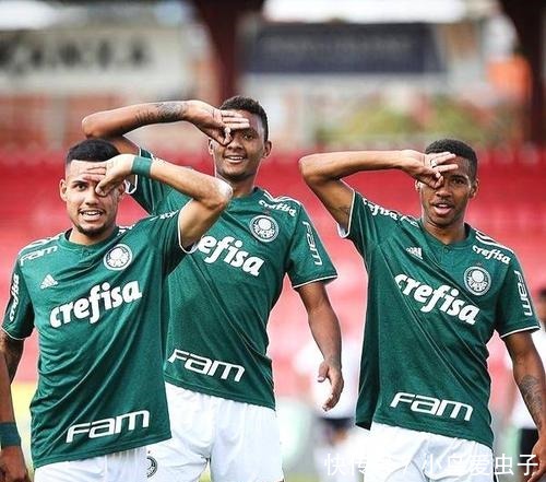 二条小龙 二条小龙